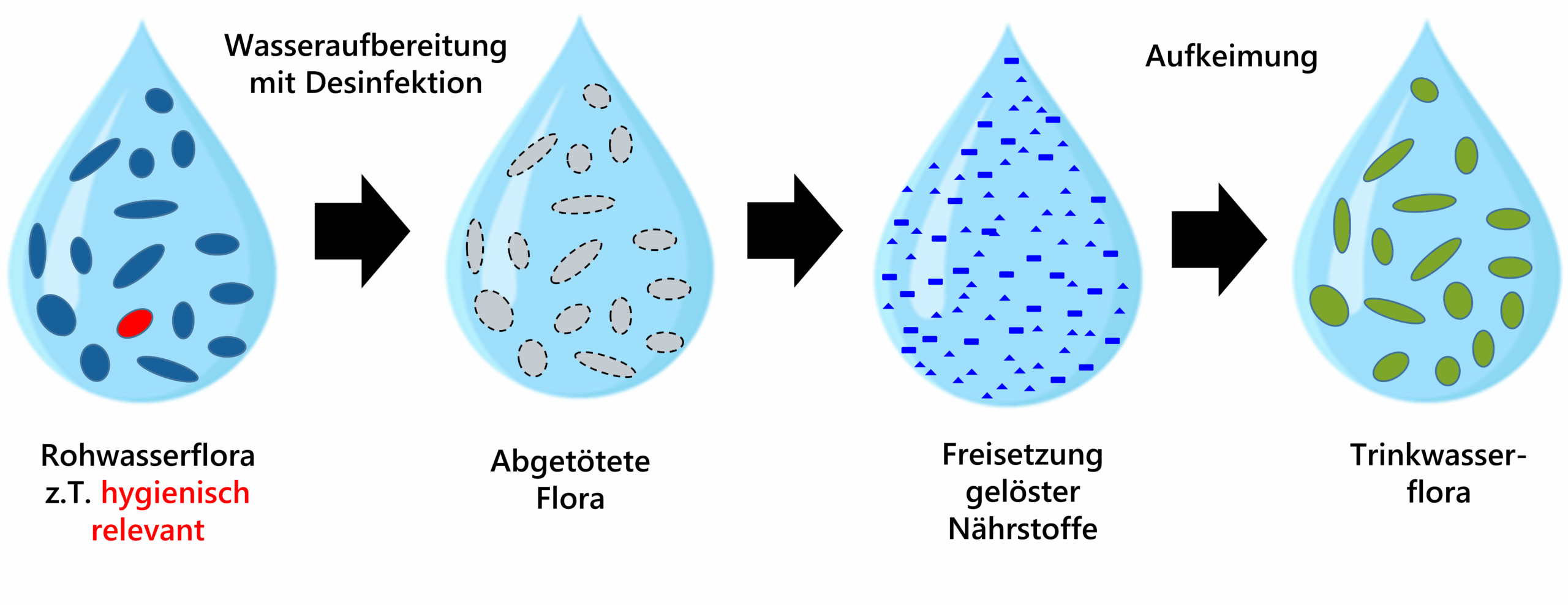 BioStabil_Hintergrund